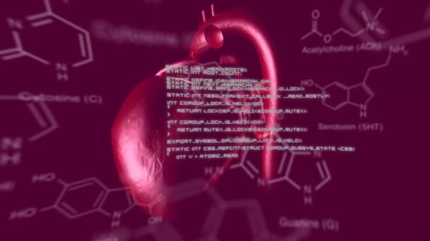 Animacja Bicia Ludzkiego Serca Białymi Danymi Strukturalną Formułą Związków Chemicznych — Wideo stockowe