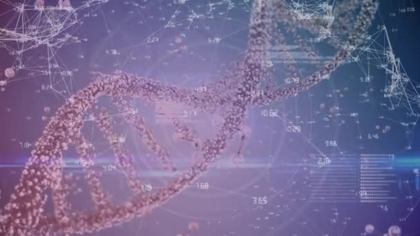 Animation Turning Dna Strand Data Pulsating Ring Blue Purple Background — Stock Video