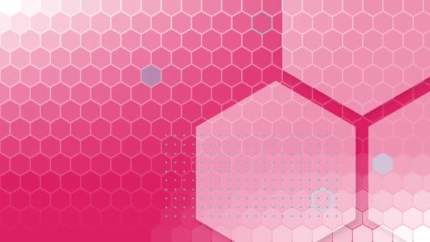 Animation Hexagons Honeycomb Shapes Appearing Hexagonal Mesh Pink Background — Stock Video