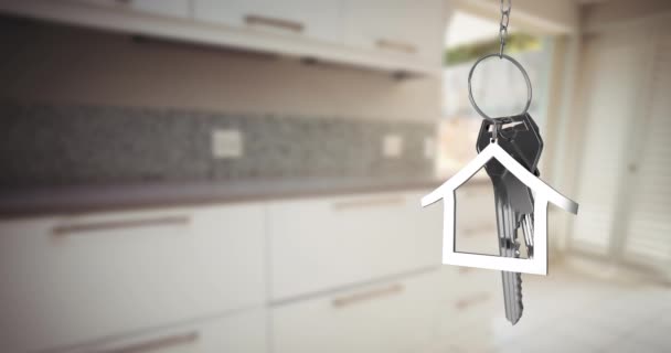 Animation Silver House Keys House Shaped Key Fob Hanging Out — Stock Video