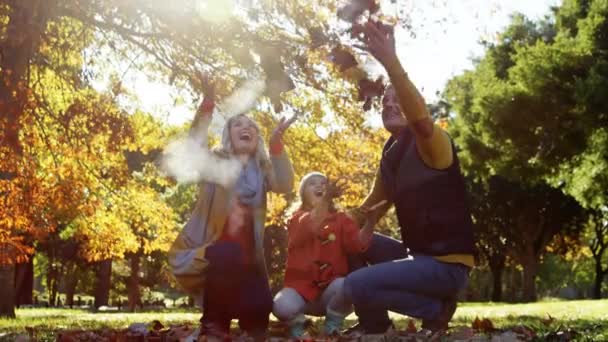 Sonbaharda Arka Planda Beyaz Bir Ailenin Yapraklarını Parka Attığı Buluttan — Stok video
