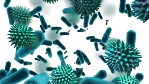 Animation Green Viruses Floating White Background — Stock Video