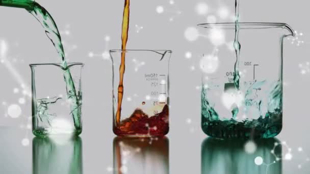三个实验室烧杯在前景中填充分子的动画 — 图库视频影像
