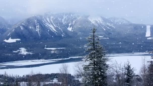 Animation Der Winterlandschaft Der Landschaft Mit Schneefall Und Bewölktem Himmel — Stockvideo