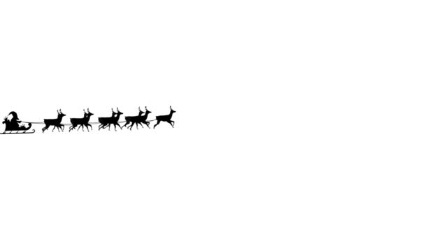 Animace Černé Siluety Santa Clause Saních Tažených Soby Bílém Pozadí — Stock video