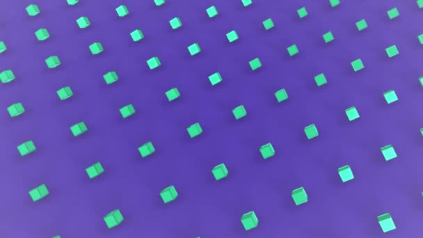 Анімація Зелених Кубиків Рухаються Формуванні Фіолетовому Фоні — стокове відео