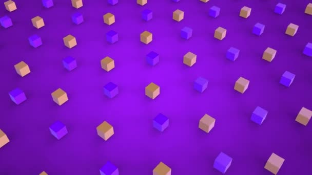 Animación Cubos Color Rosa Púrpura Moviéndose Formación Sobre Fondo Púrpura — Vídeo de stock