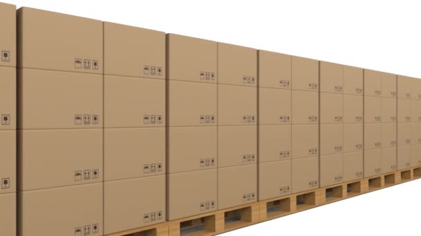 Animation Rows Cardboard Boxes Stacked Wooden Pallets — Stock Video