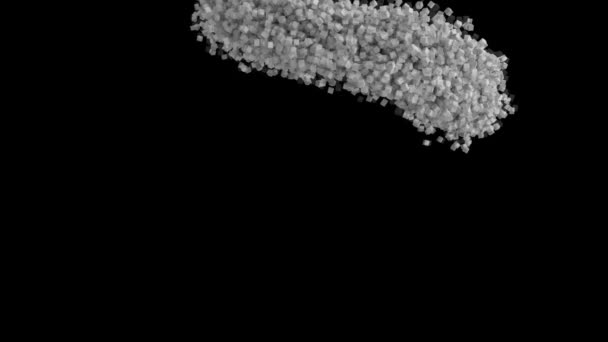 Κινούμενη Ανθρώπινη Προτομή Που Σχηματίζεται Από Γκρίζα Σωματίδια Μαύρο Φόντο — Αρχείο Βίντεο