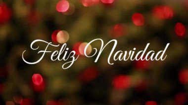 Arka planda yanıp sönen ışıklar üzerine beyaz harflerle yazılmış Feliz Navidad kelimelerinin animasyonu