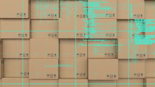 Veri Işleme Merkezindeki Karton Kutuların Canlandırılması — Stok video