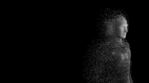 Animation Human Body Formed Grey Particles Black Background — Stock Video