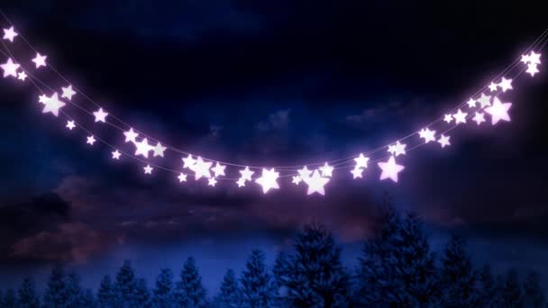 Animation Christmas Decoration String Shelling Star Shaped Fairy Lights Countryside — Αρχείο Βίντεο