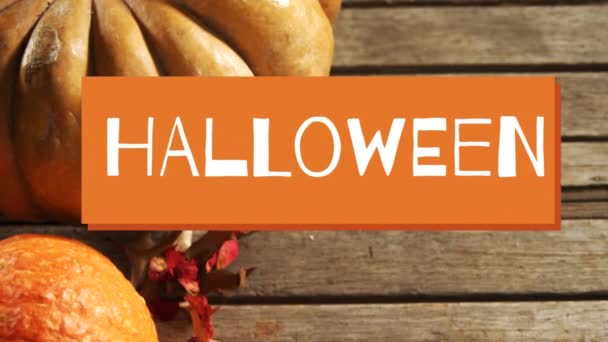 Animation Ordet Halloween Med Vita Bokstäver Orange Banner Med Pumpor — Stockvideo