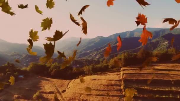 Animatie Van Kleurrijke Bladeren Vallen Herfst Het Platteland — Stockvideo