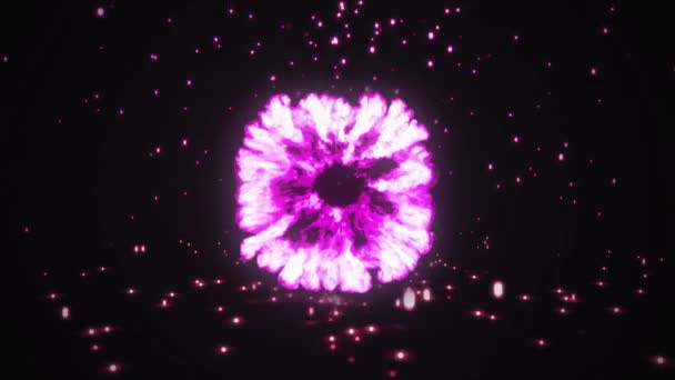Animace Fialové Exploze Padajícími Zářícími Fialovými Světly Černém Pozadí — Stock video