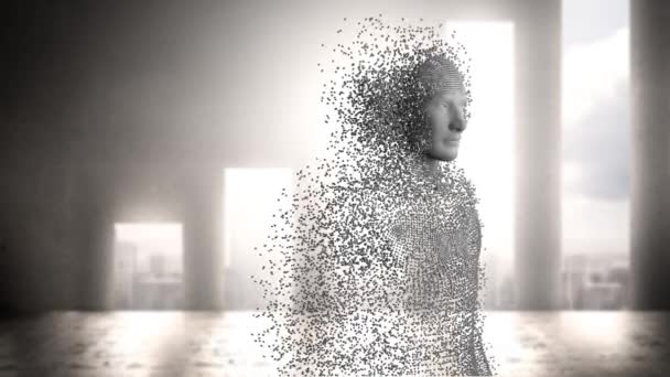 Animation Human Body Formed Grey Particles Windows Background — ストック動画