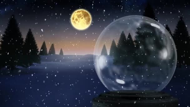 Animacja Pustej Kuli Śnieżnej Nocy Drzewami Pełnią Księżyca Spadającym Śniegiem — Wideo stockowe