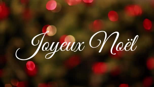 Animation Words Joyeux Noel Written White Flickering Lights Background — Stock Video