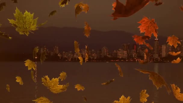 Sonbaharda Düşen Renkli Yaprakların Canlandırılması Arka Planda Şehir Manzarası — Stok video