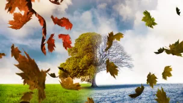 Animação Folhas Coloridas Caindo Outono Uma Árvore Meia Nua Fundo — Vídeo de Stock