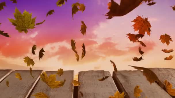 Animation Feuilles Colorées Tombant Automne Campagne — Video