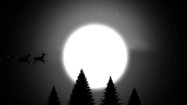 雪に覆われたサンタクロースの黒いシルエットのアニメーションは 黒の背景に月と冬の夜にトナカイによって引き抜かれています — ストック動画