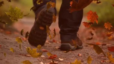 Sonbaharda renkli yaprakların kırsala düşüşünün animasyonu.