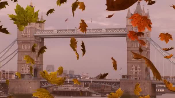 Animación Hojas Coloridas Que Caen Otoño Londres — Vídeos de Stock