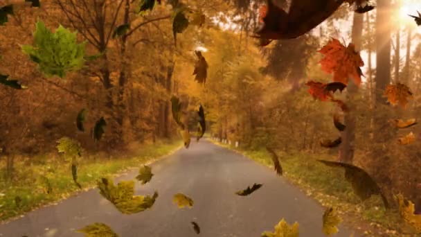 Animatie Van Kleurrijke Bladeren Vallen Herfst Een Bos — Stockvideo