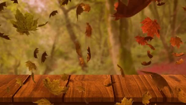 Animation Colorful Leaves Falling Autumn Forest — Stock Video