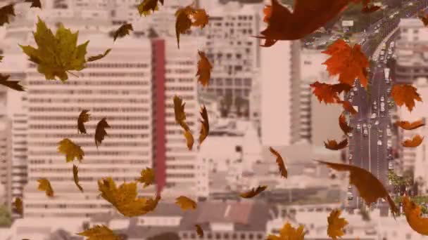 五彩缤纷的树叶在一个城市秋天飘落的动画 — 图库视频影像