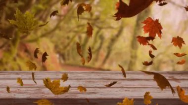 Sonbaharda ormana düşen renkli yaprakların animasyonu