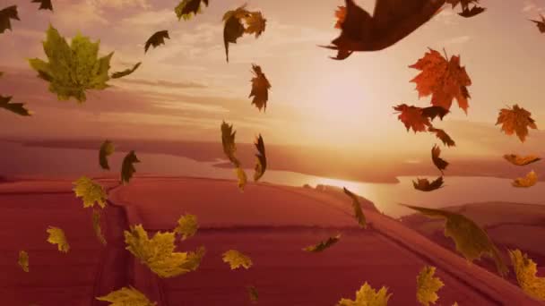 Animation Colourful Leaves Falling Autumn Countryside — Stock Video