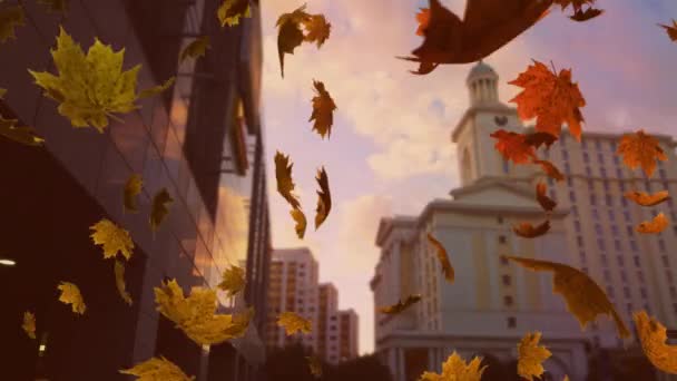 Animation Colorful Leaves Falling Autumn City — Stock Video