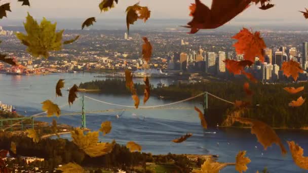 Animering Färgglada Blad Faller Hösten Med Stadsbilden Bakgrunden — Stockvideo