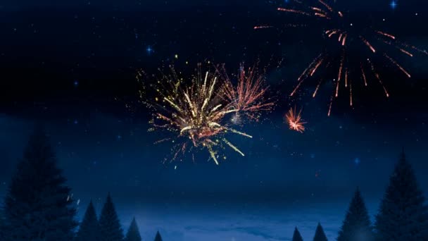 Animation Der Worte Jahreszeiten Grüße Glitzernden Buchstaben Mit Feuerwerk Hintergrund — Stockvideo
