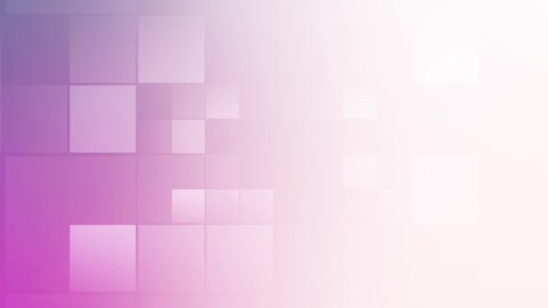 Animation Flickering Squares White Purple Background — Stock Video