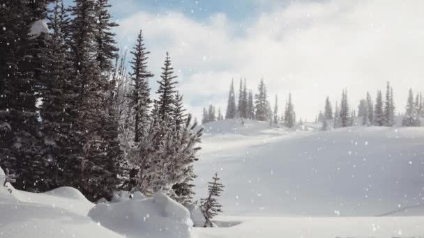 Animación Abetos Nieve Cayendo Campo — Vídeos de Stock