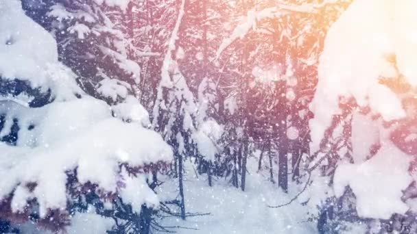 Animação Abetos Campo Neve Caindo Com Manchas Flutuantes Brancas — Vídeo de Stock