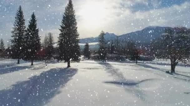 Animazione Abeti Neve Che Cade Campagna — Video Stock