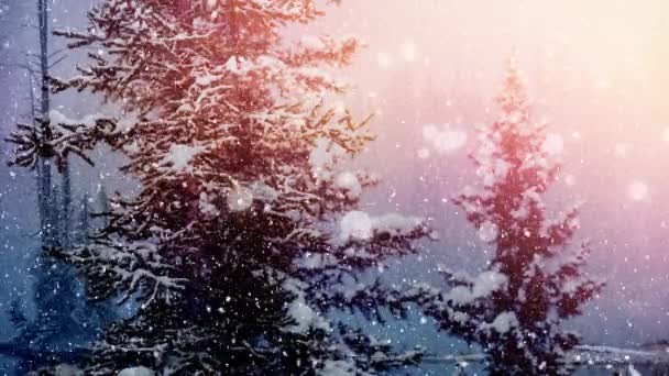 Animace Jedlí Bílé Skvrny Světla Sněhu Padající Krajinu — Stock video