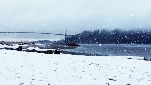 Animación Lago Abetos Nieve Cayendo Campo — Vídeo de stock