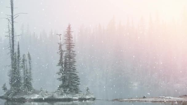 田舎のモミの木や雪のアニメーション — ストック動画