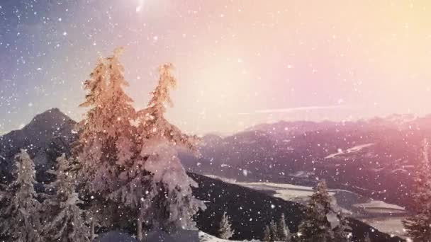 茂密的冷杉和降雪在乡间的景象 — 图库视频影像