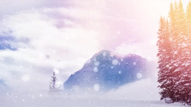 Köknar Ağaçları Beyaz Işık Noktaları Dağlar Kırsala Düşen Kar Animasyonları — Stok video