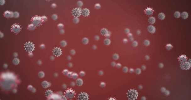 Animace Buněk Covid Červeném Pozadí Coronavirus Covid Pandemický Koncept Digitální — Stock video