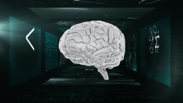 Animation Modèle Cerveau Humain Tournant Dessus Tunnel Fait Écrans Montrant — Video