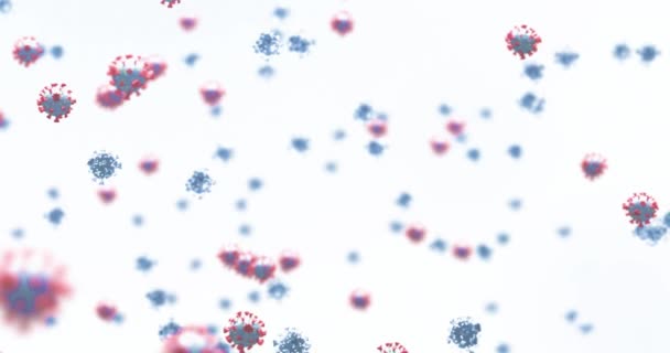 Анімація Макроклітин Covid Плавають Білому Тлі Coronavirus Covid Пандемічна Концепція — стокове відео