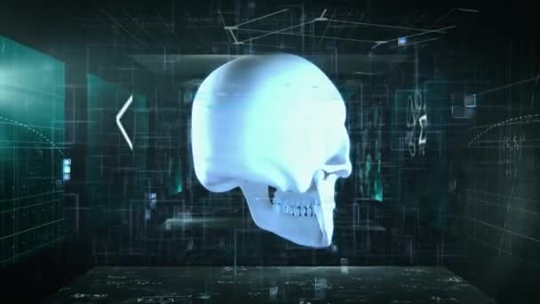 Animation d'un scull humain en 3D tournant au-dessus d'un tunnel fait d'écrans montrant des équations mathématiques flottant. Concept de science et de recherche image générée numériquement